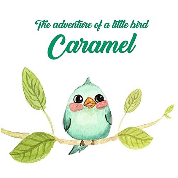 The Adventure Of A Little Bird Caramel-..
