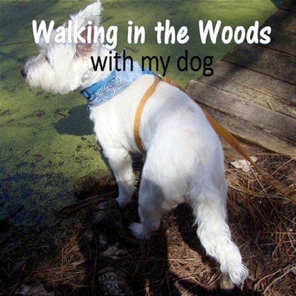 Walking In The Woods With My Dog: A Book Of Caterpillars, Butterflies, Spiders And Bugs-..