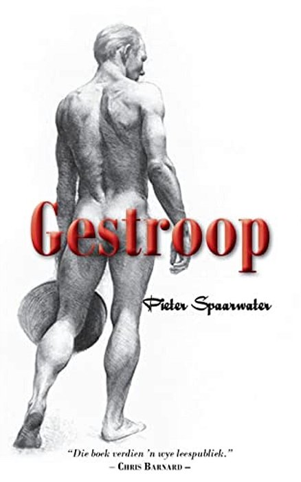 Gestroop: 'N Bundel Essays-..