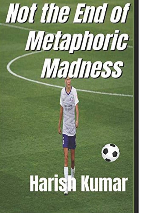 Not The End Of Metaphoric Madness: The Series Ends Not The Madness-..