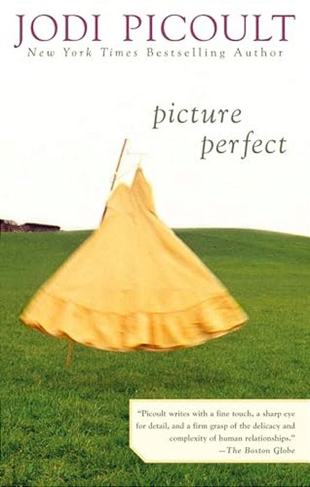 Picture Perfect-..
