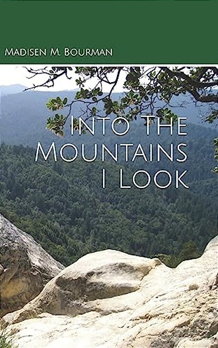 Into The Mountains I Look-..