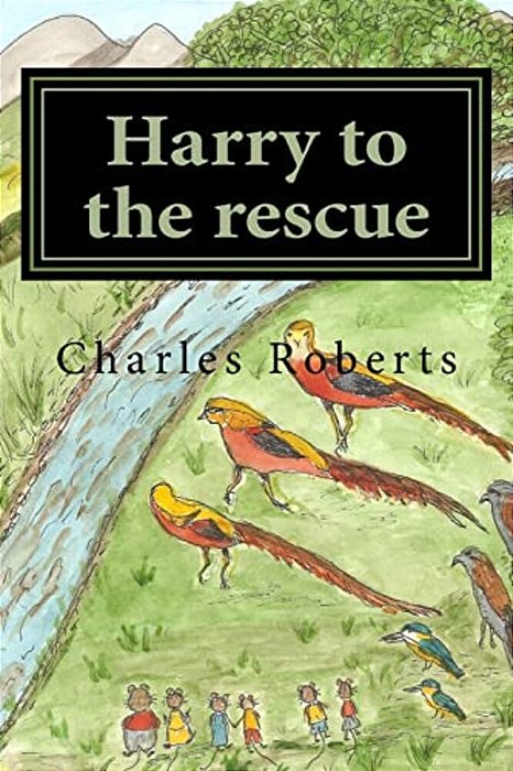 Harry To The Rescue-..