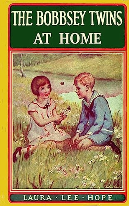 The Bobbsey Twins At Home-..