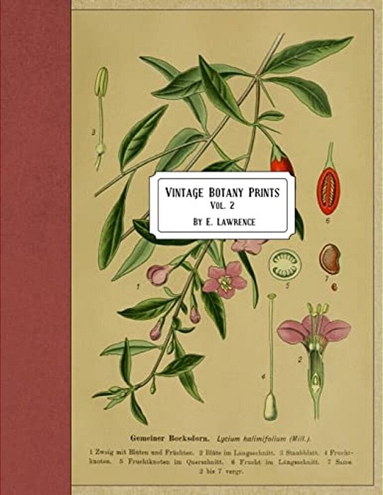 Vintage Botany Prints: Vol. 2-..
