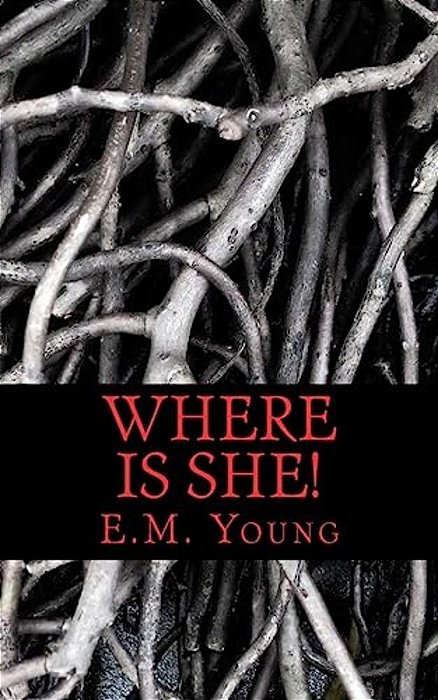 Where Is She!: Can Jason Bring Sam Home-..