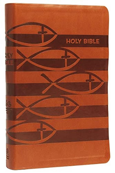 Icb, Holy Bible, Leathersoft, Brown: International Children's Bible-..