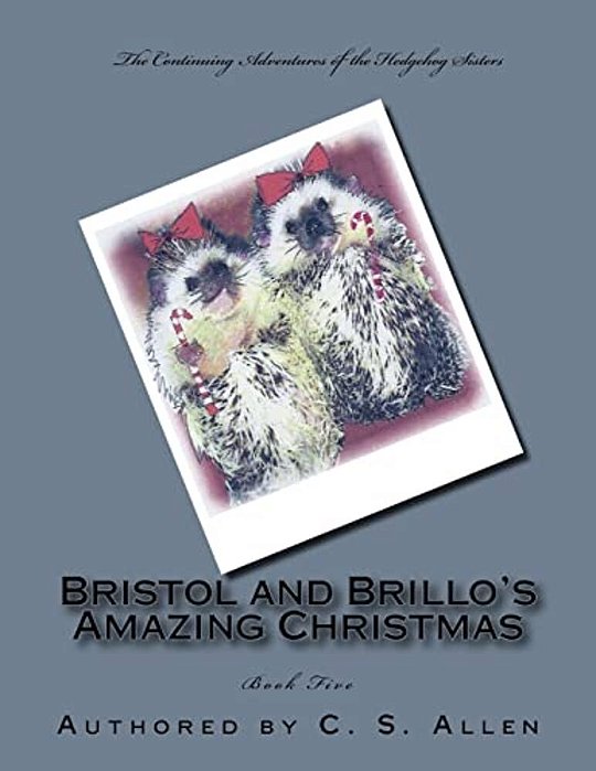 Bristol And Brillo's Amazing Christmas: The Hedgehog Sisters-..