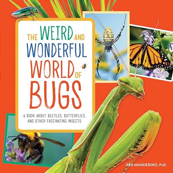 The Weird And Wonderful World Of Bugs: A Book About Beetles, Butterflies, And Other Fascinating Insects-..