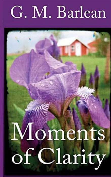 Moments Of Clarity-..