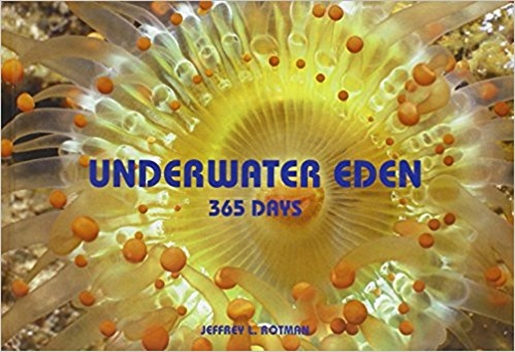 Underwater Eden - 365 Days-..