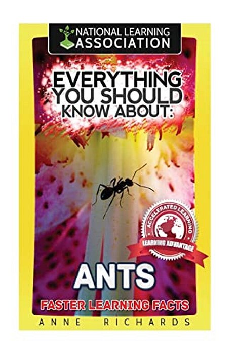 Everything You Should Know About: Ants-..