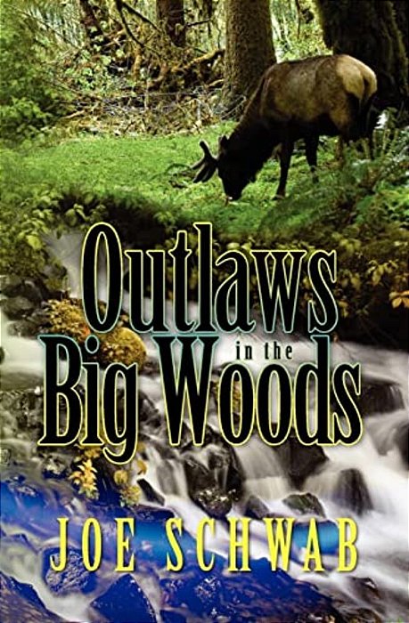 Outlaws In The Big Woods-..