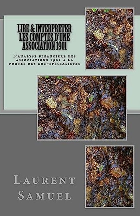 Lire & Interpreter Les Comptes D'Une Association 1901: L'Analyse Financiere Des Associations 1901 A La Portee Des Non-Specialistes-..