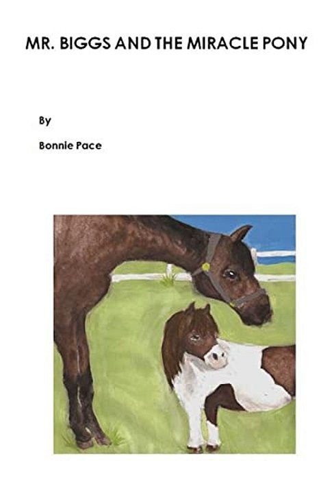 Mr. Biggs And The Miracle Pony-..