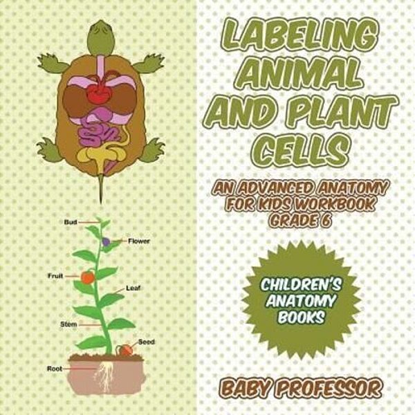 Labeling Animal And Plant Cells - An Advanced Anatomy For Kids Workbook Grade 6 Children's Anatomy Books-..