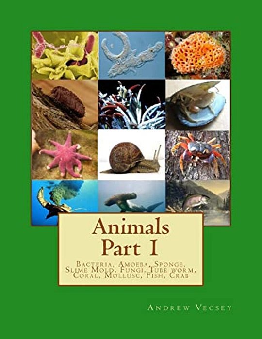 Animals Part 1: Bacteria, Amoeba, Sponge, Slime Mold, Fungi, Tube Worm, Coral, Mollusc, Fish, Crab-..
