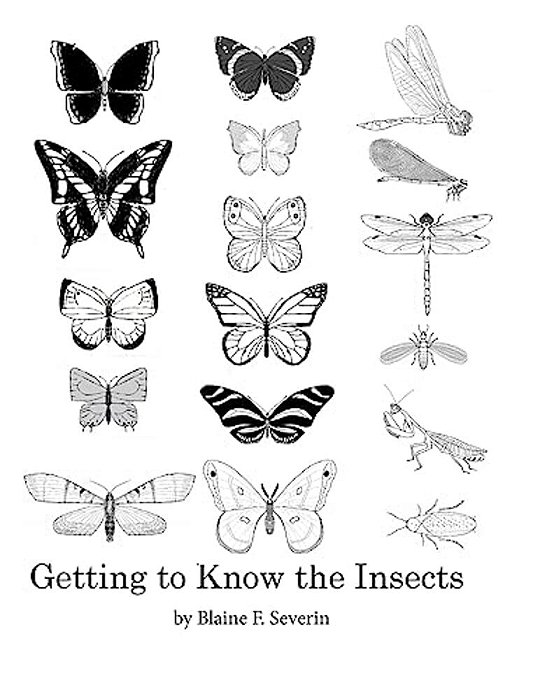 Getting To Know The Insects-..