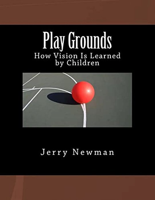 Play Grounds: How Vision Is Learned By Children-..