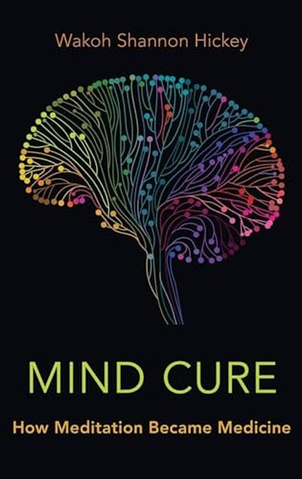 Mind Cure: How Meditation Became Medicine-..