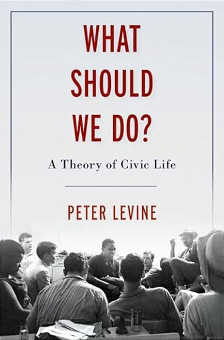 What Should We Do?: A Theory Of Civic Life-..