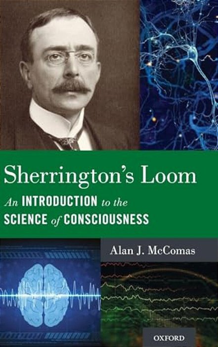 Sherrington's Loom: An Introduction To The Science Of Consciousness-..