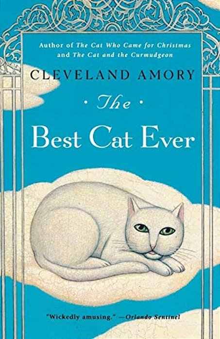 The Best Cat Ever-..