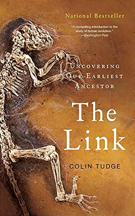 The Link-..