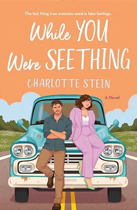 While You Were Seething-..