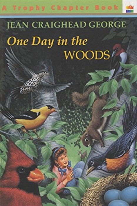 One Day In The Woods-..