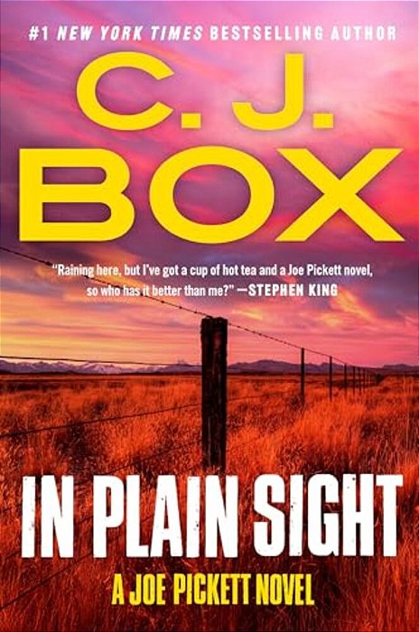 In Plain Sight-..
