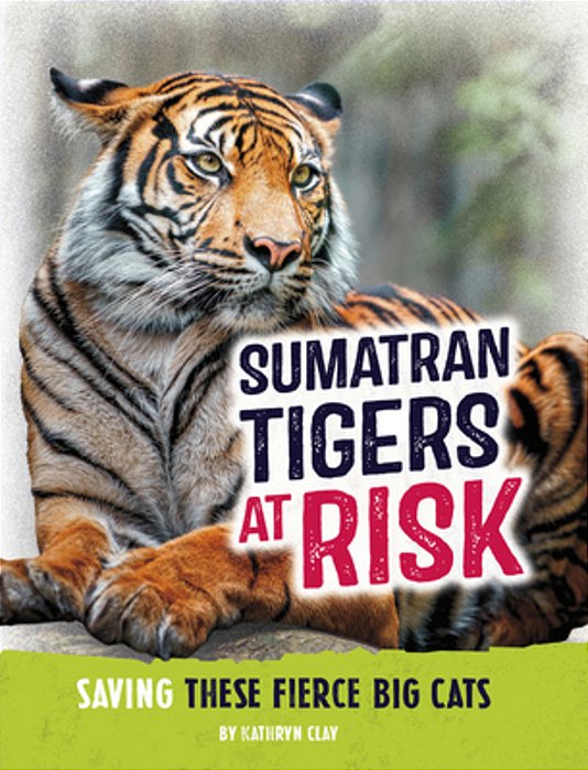 Sumatran Tigers At Risk: Saving These Fierce Big Cats-..