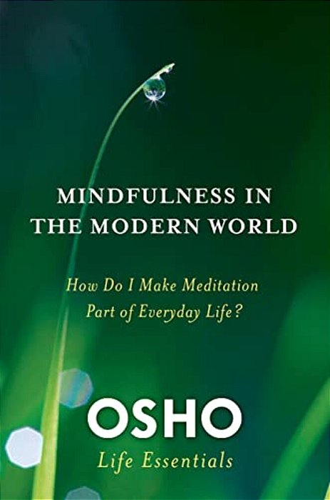 Mindfulness In The Modern World-..