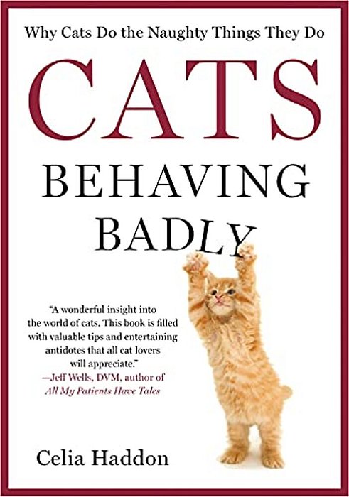 Cats Behaving Badly-..