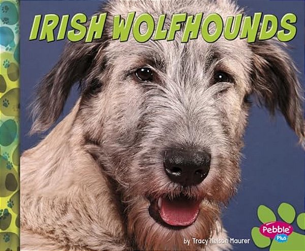 Irish Wolfhounds-..