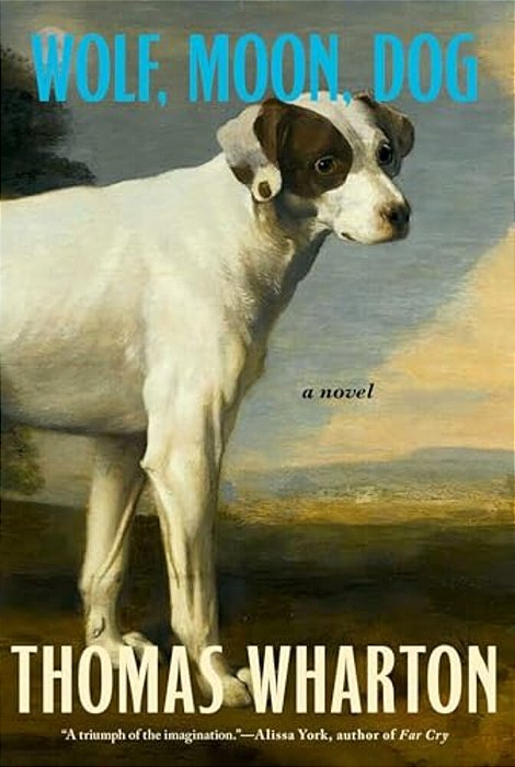 Wolf, Moon, Dog-..