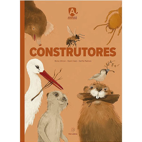 Construtores - Capa Dura