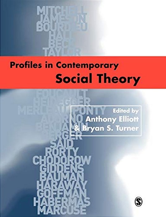 Profiles In Contemporary Social Theory-..