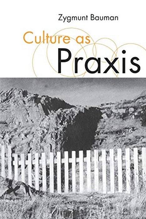Culture As Praxis-..