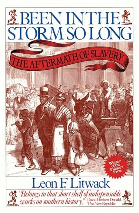 Been In The Storm So Long (Pulitzer Prize Winner): The Aftermath Of Slavery-..