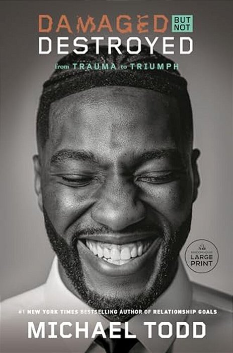 Damaged But Not Destroyed: From Trauma To Triumph-..