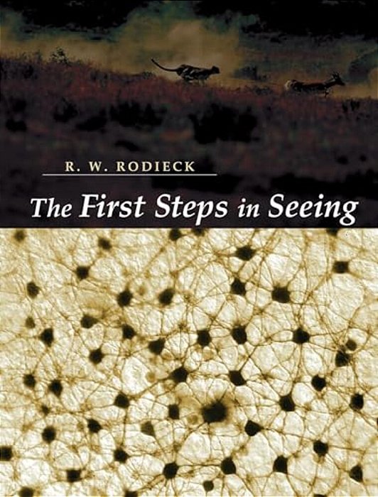 The First Steps In Seeing-..