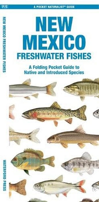 New Mexico Freshwater Fishes: A Folding Pocket Guide To Native And Introduced Species-..