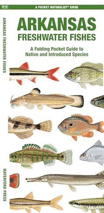 Arkansas Freshwater Fishes: A Folding Pocket Guide To Native And Introduced Species-..