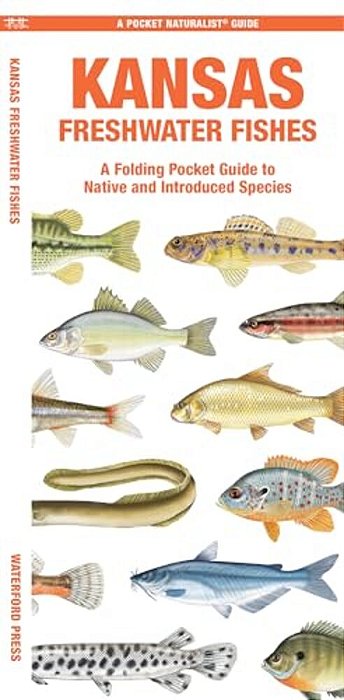 Kansas Freshwater Fishes: A Folding Pocket Guide To Native And Introduced Species-..