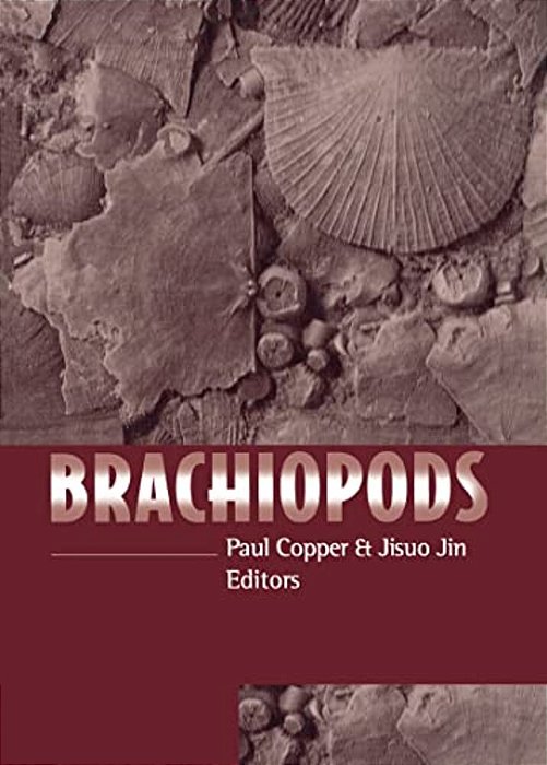 Brachiopods-..