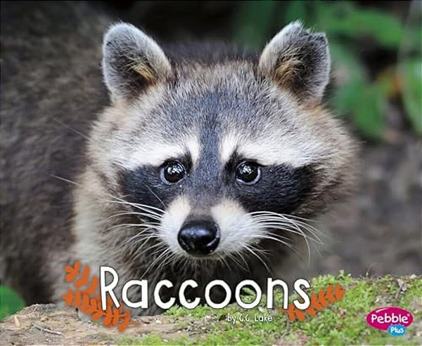 Raccoons-..