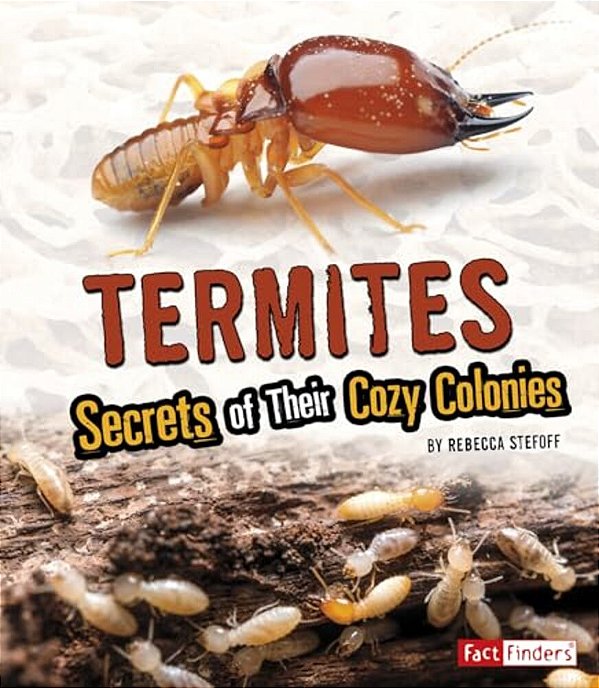 Termites: Secrets Of Their Cozy Colonies-..