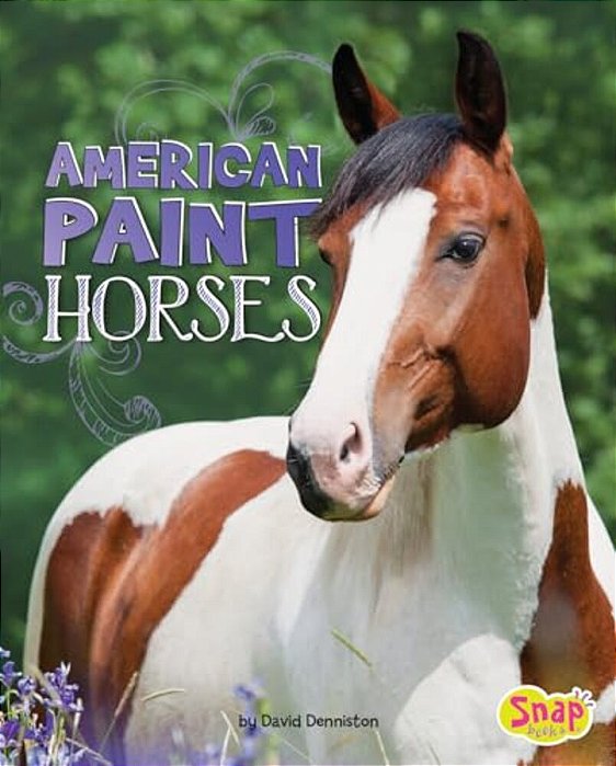 American Paint Horses-..