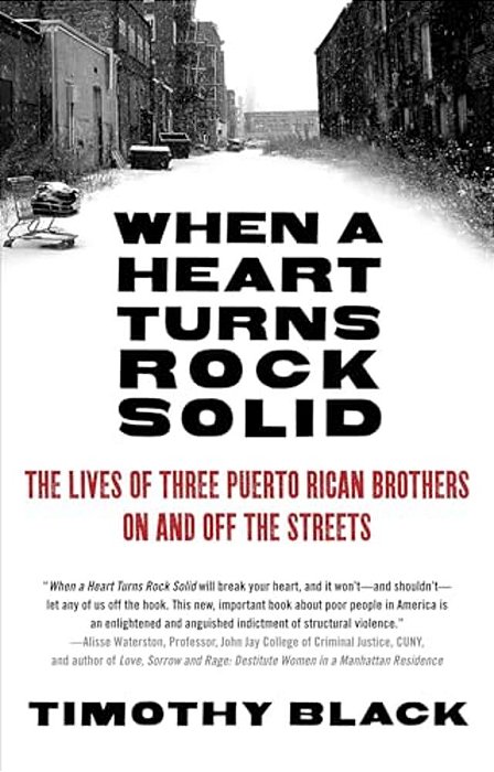 When A Heart Turns Rock Solid: The Lives Of Three Puerto Rican Brothers On And Off The Streets-..